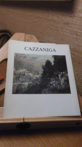 CAZZANIGA. PER UN PAESAGGIO 1980/85