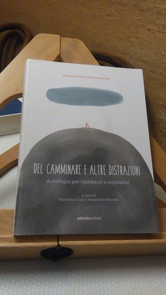 DEL CAMMINARE E ALTRE DISTRAZIONI