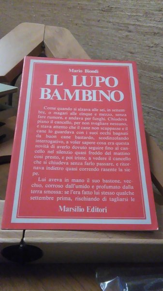 IL LUPO BAMBINO.