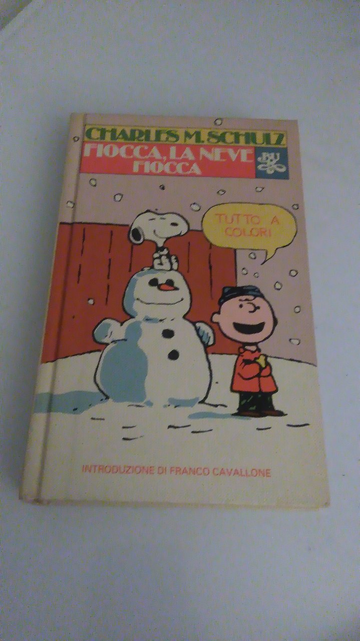 FIOCCA, LA NEVE FIOCCA.