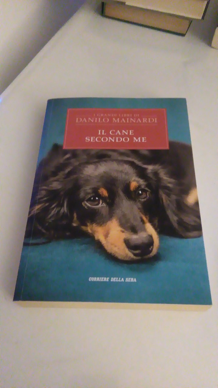 IL CANE SECONDO ME