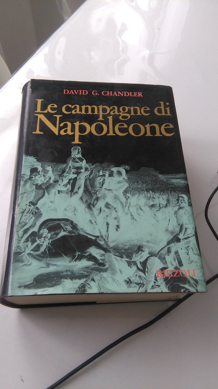 LE CAMPAGNE DI NAPOLEONE
