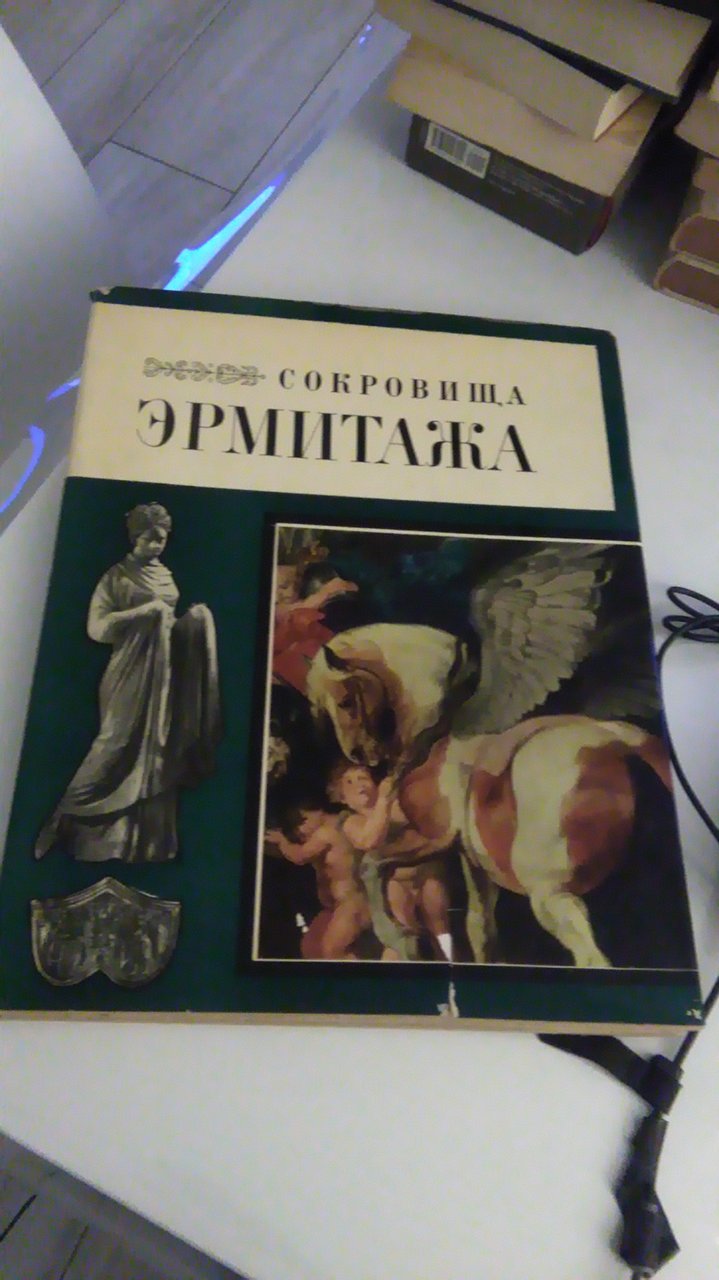 TESORI DELL'ERMITAGE ( IN LINGUA RUSSA )