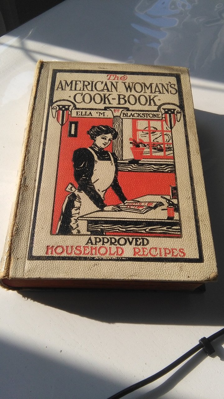 THE AMERICAN WOMAN'S COOK BOOK