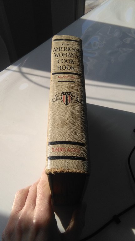 THE AMERICAN WOMAN'S COOK BOOK