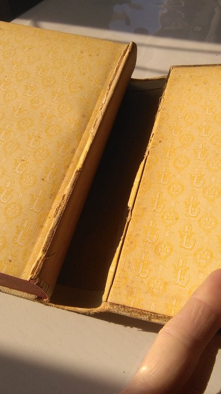 THE AMERICAN WOMAN'S COOK BOOK