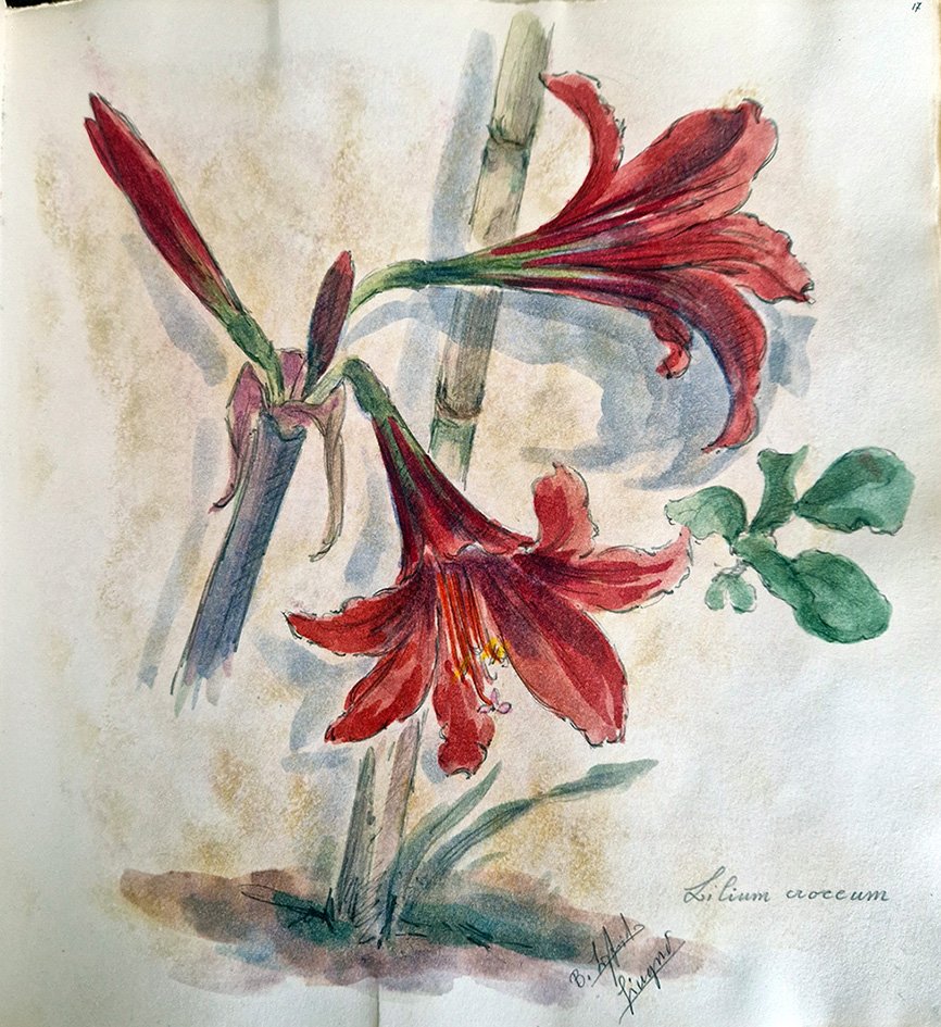 Disegni per un anno 1967-1968. Cahier d'artiste.