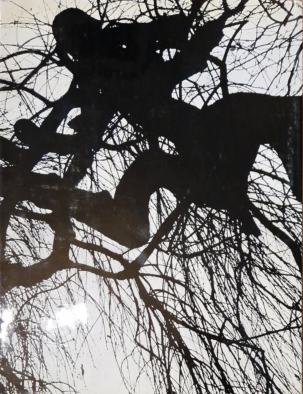 Riva di Po. Fotografie di Harold Null con una prefazione …