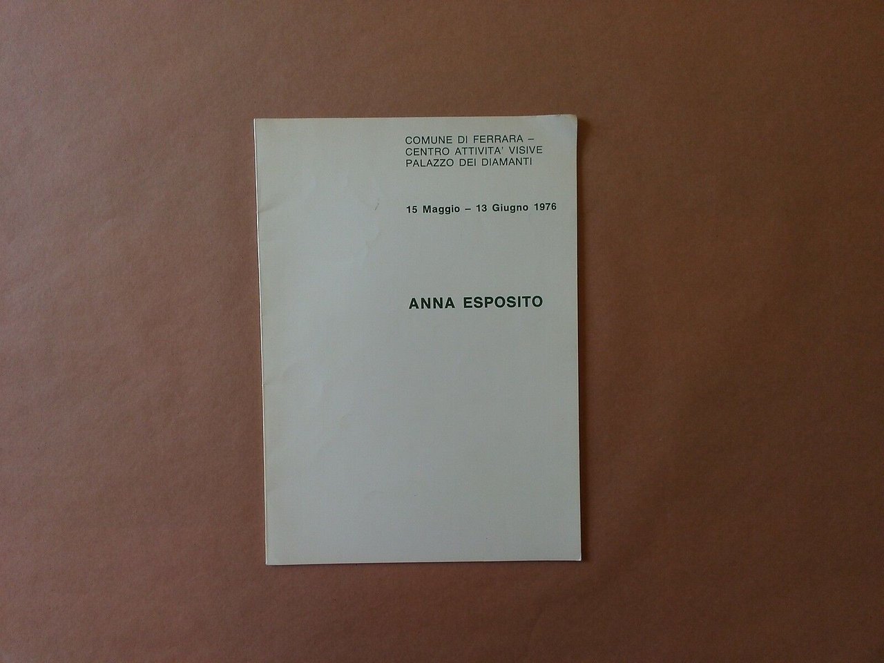 Anna Esposito - Mostra Ferrara Palazzo dei Diamanti