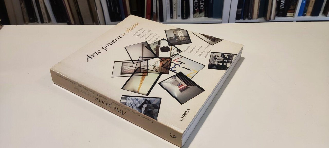 Arte Povera in Collection