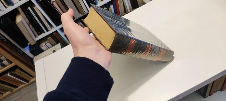 Commedie | Immagine Gallery 2