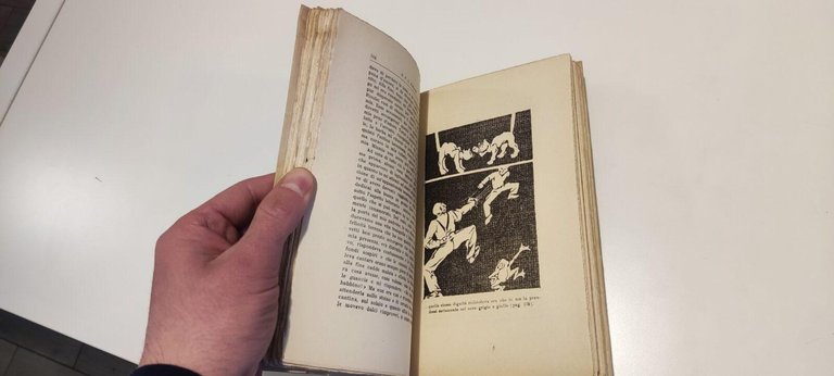 Considerazioni Filosofiche del Gatto Murr | Immagine Gallery 2