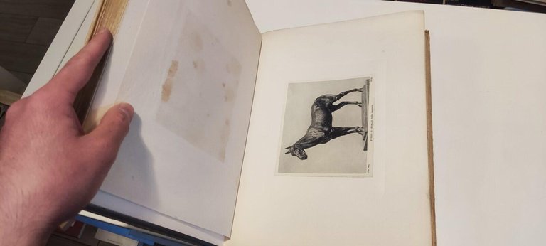 Davide Calandra | Immagine Gallery 4