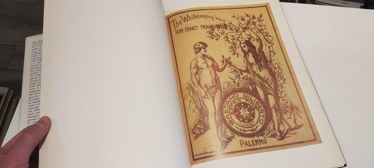 Dove Fiorisce Il Limone | Immagine Gallery 2