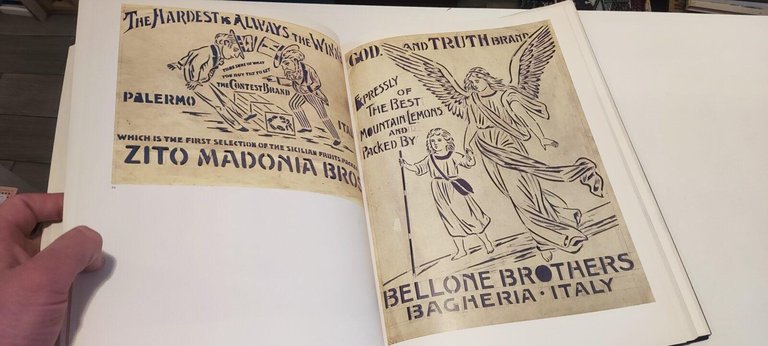 Dove Fiorisce Il Limone | Immagine Gallery 3