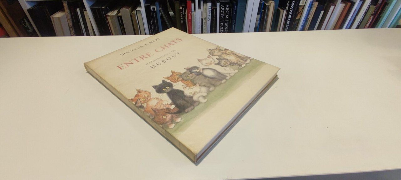 Entre Chats | Immagine principale