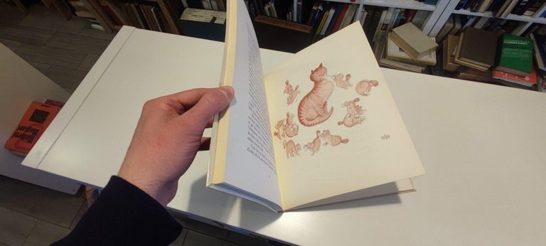 Entre Chats | Immagine Gallery 2