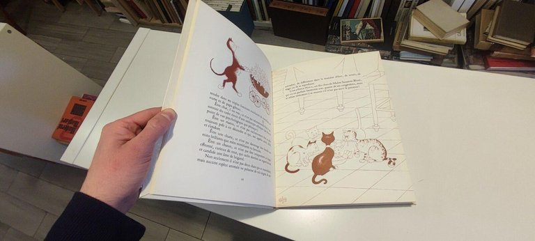 Entre Chats | Immagine Gallery 3