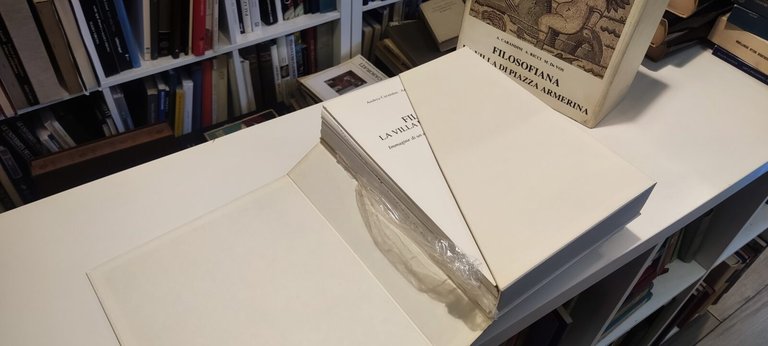 Filosofiana La villa di Piazza Armerina | Immagine Gallery 2