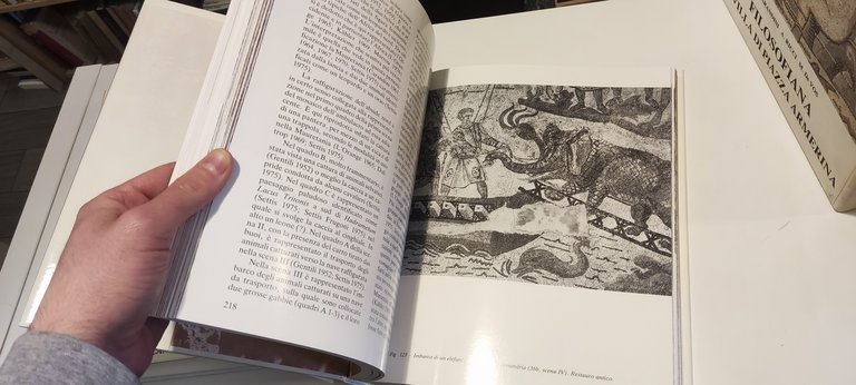 Filosofiana La villa di Piazza Armerina | Immagine Gallery 4