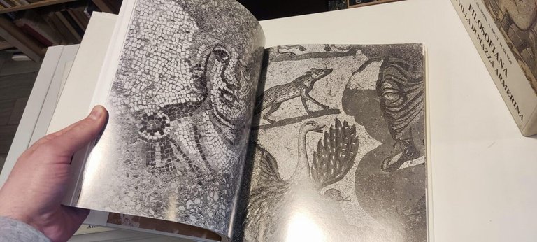 Filosofiana La villa di Piazza Armerina | Immagine Gallery 5