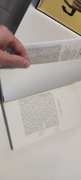 Fiore dell'Antologia Palatina