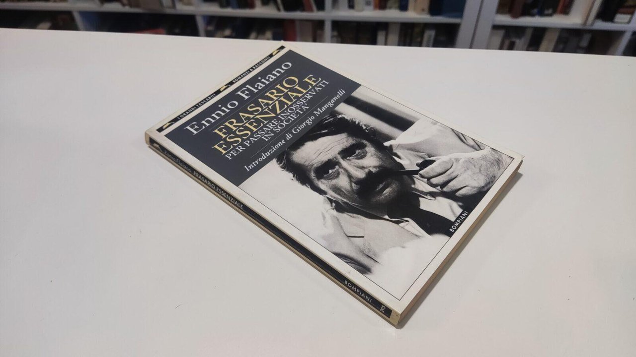 Frasario essenziale per passare inosservati in societа