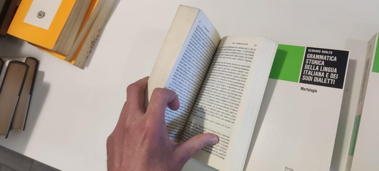 Grammatica storica della lingua italiana e dei suoi dialetti 3 …