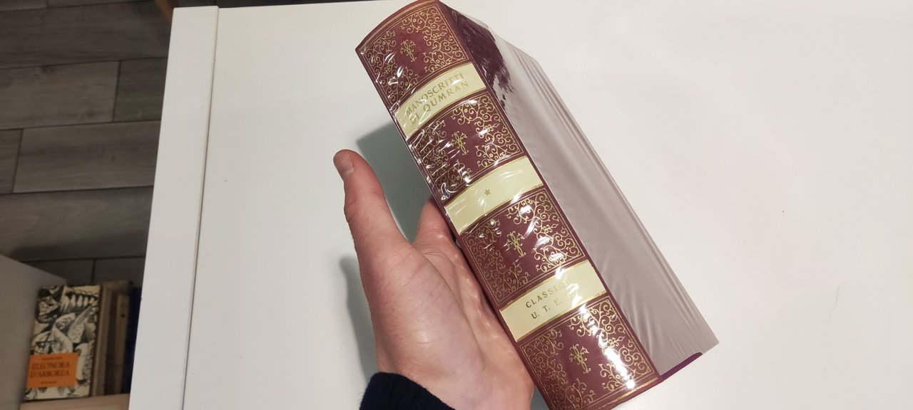 I Manoscritti di Qumran | Immagine principale