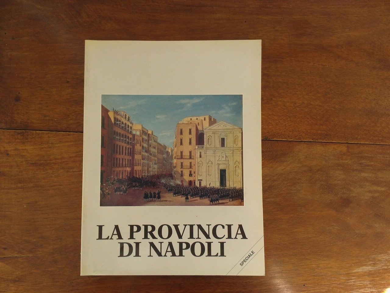 Il 1848 a Napoli La provincia di Napoli