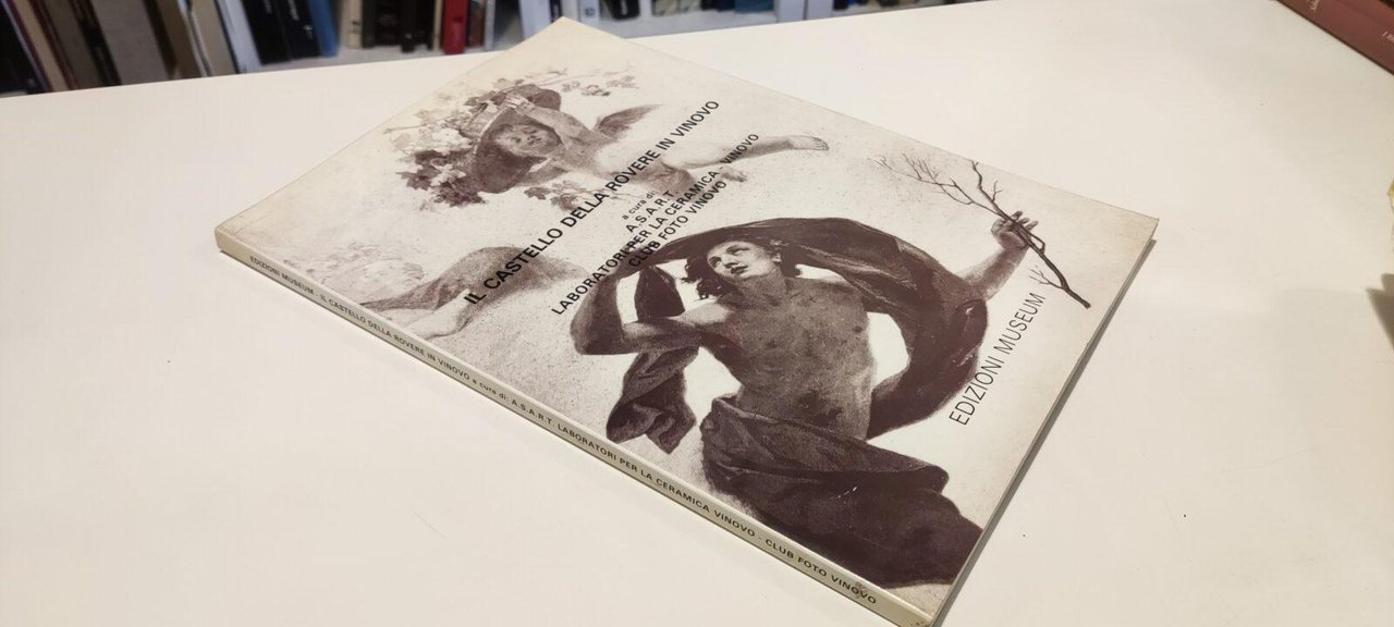 Il Castello della Rovere in Vinovo | Immagine principale