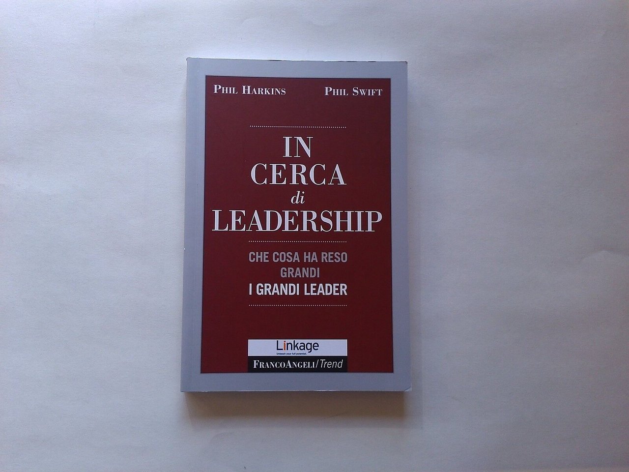 In cerca di leadership