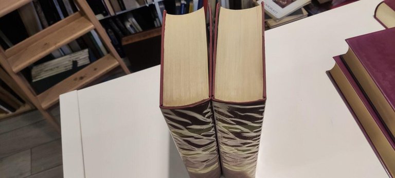 Istituzione della Religione Cristiana 2 VOLUMI | Immagine Gallery 2