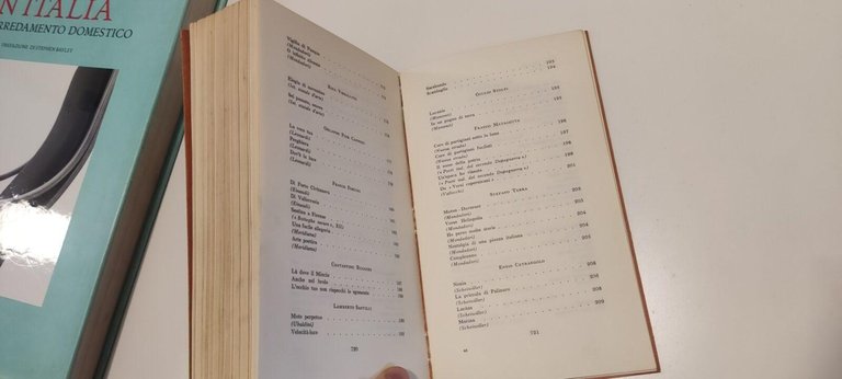 La giovane poesia