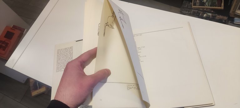 La Terza Micceide | Immagine Gallery 2