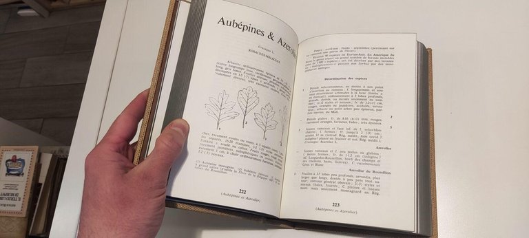 Le Livre des Arbres, Arbustes & Arbrisseaux | Immagine Gallery 3