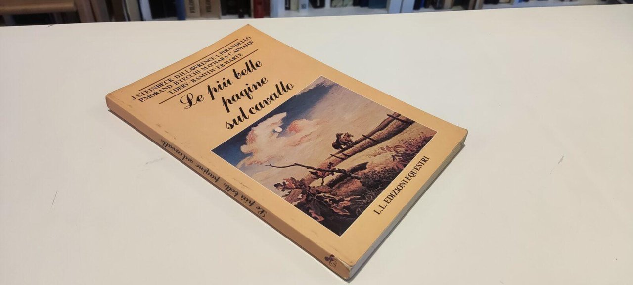 Le pi˘ Belle Pagine sul Cavallo | Immagine principale