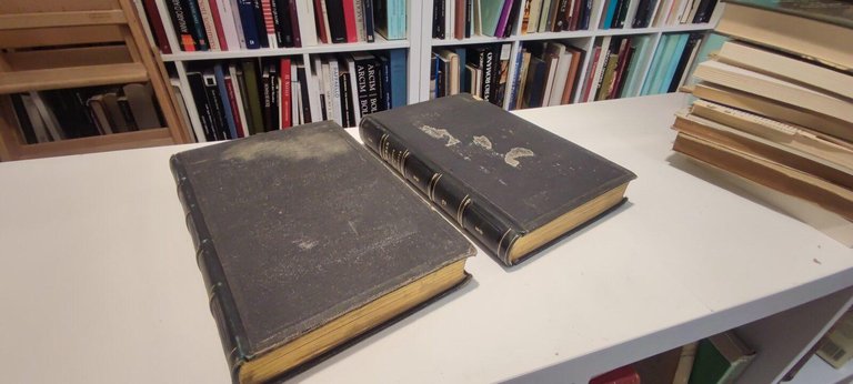 Le vicomte de Bragelonne in 2 tomi