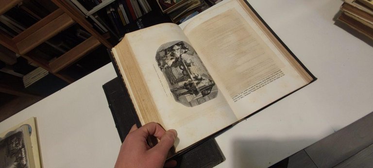 Le vicomte de Bragelonne in 2 tomi