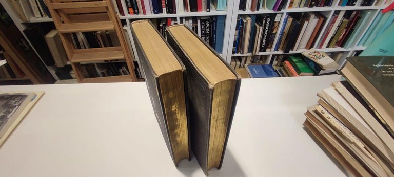 Le vicomte de Bragelonne in 2 tomi