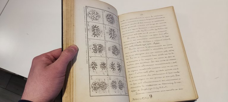 Lezioni di Botanica | Immagine Gallery 4