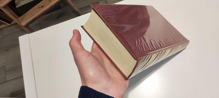 Luce delle sacre scritture | Immagine Gallery 2