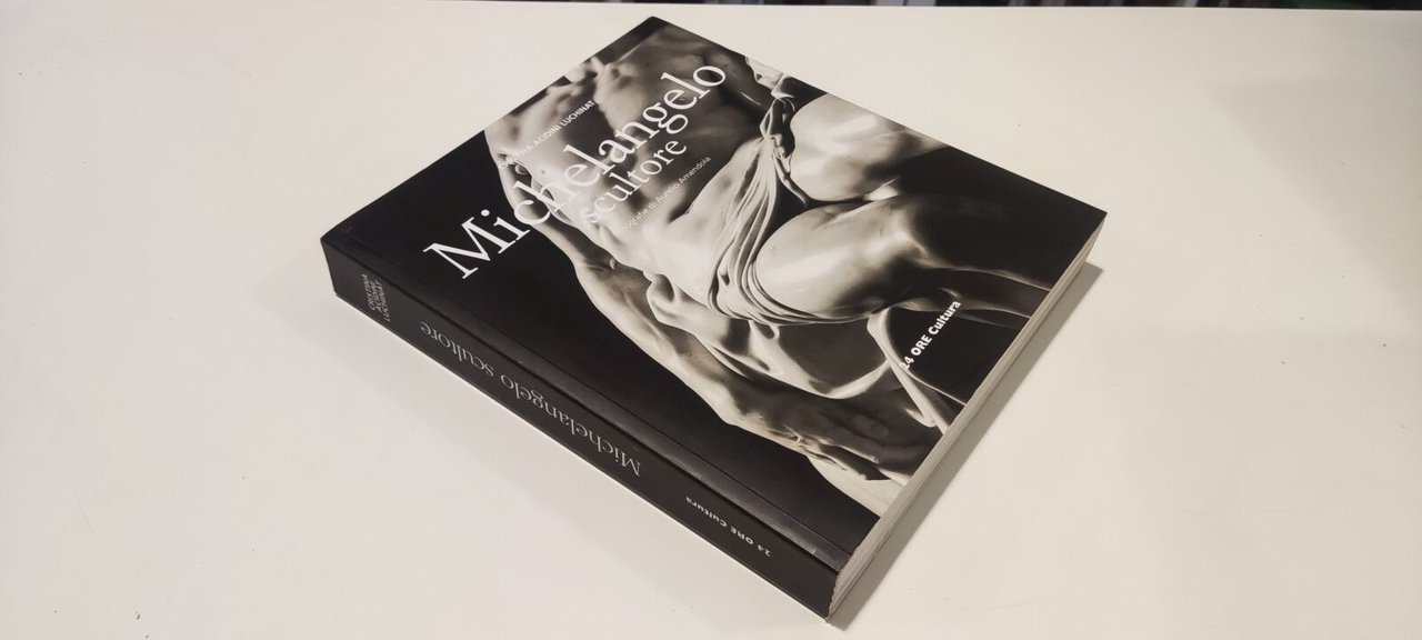 Michelangelo scultore