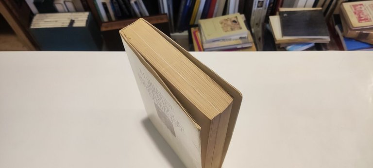 Padre e Figlio. Vita familiare di Freud