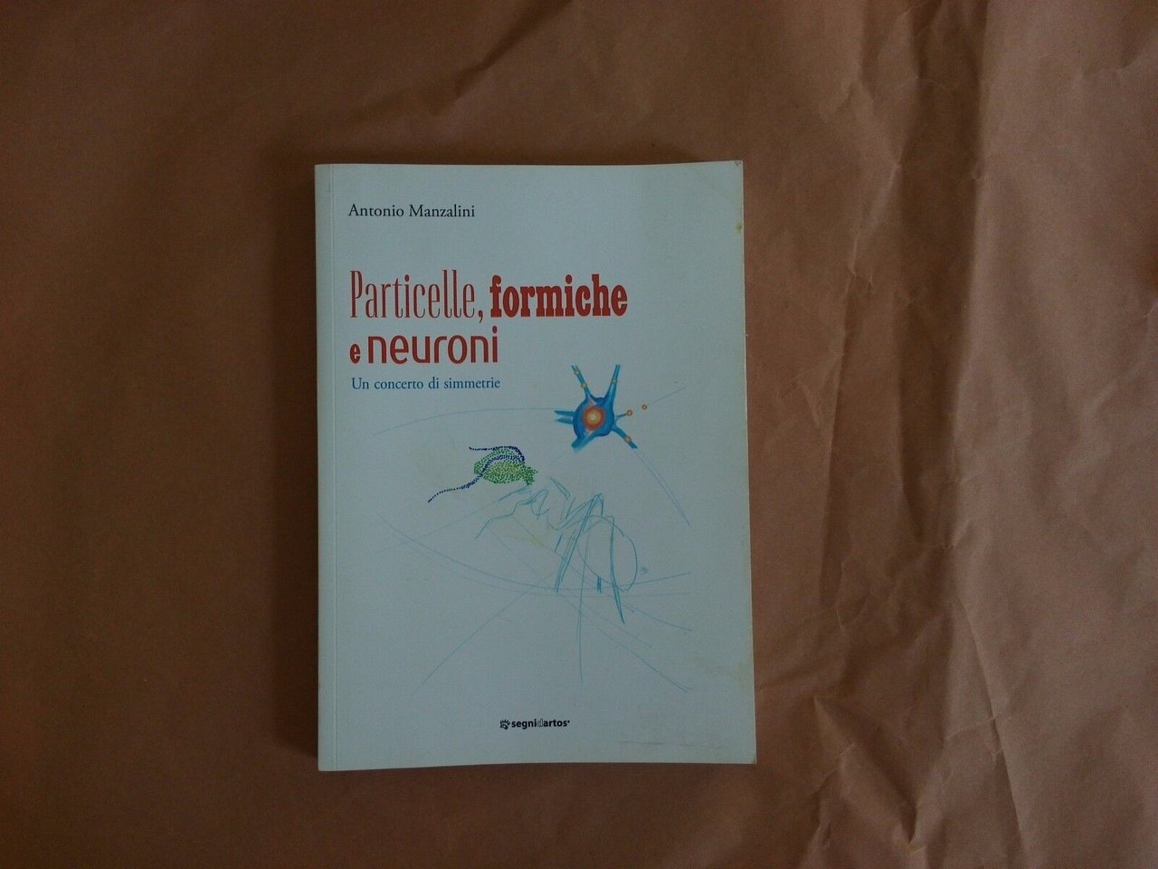 Particelle, formiche e neuroni