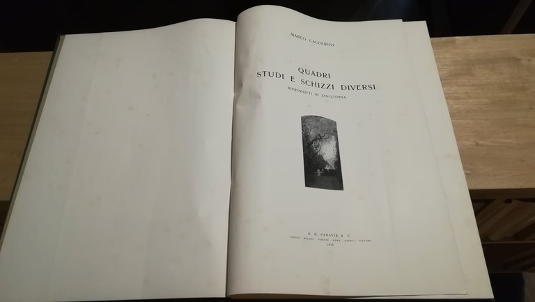 Quadri studi e schizzi diversi riprodotti in zincotipia