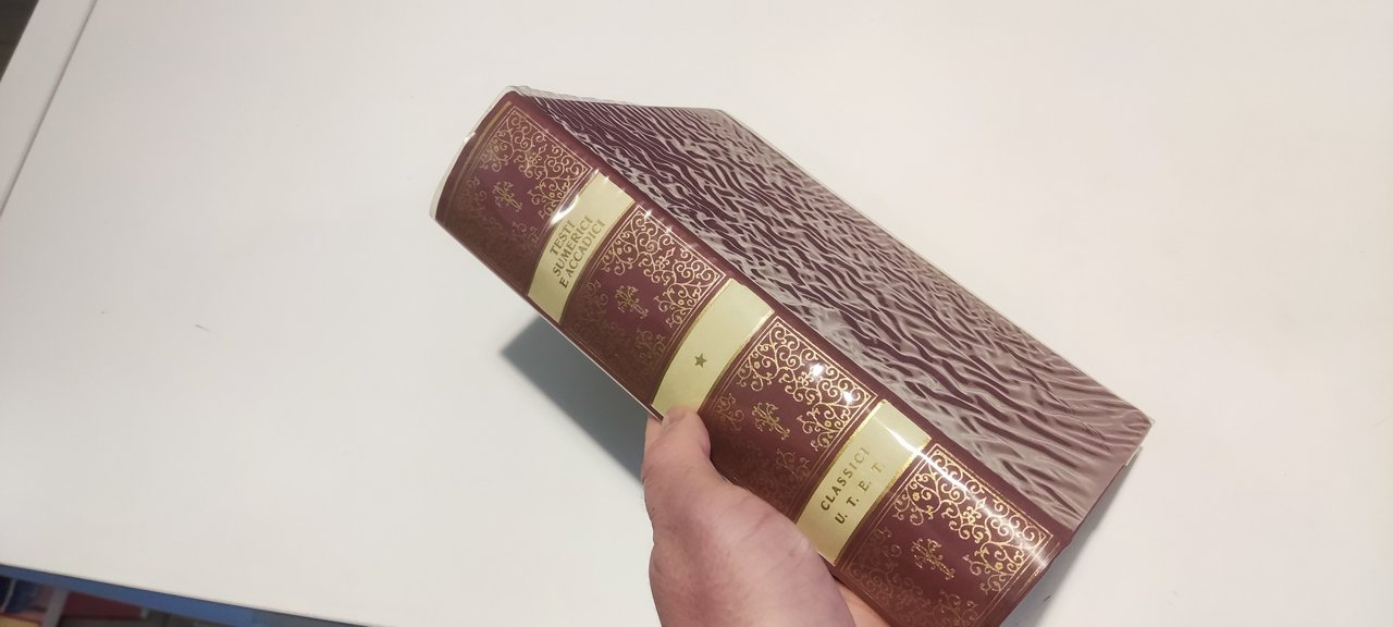 Testi Sumerici e Accadici | Immagine principale