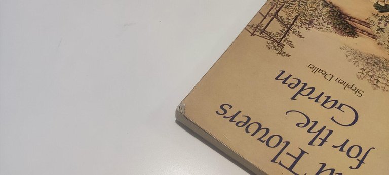 Wild Flowers For The Garden | Immagine Gallery 2