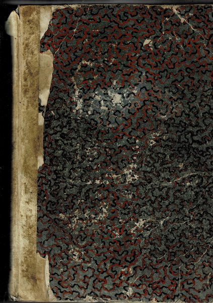 Vita del serafico patriarca S. Francesco di Assisi, scritta in …