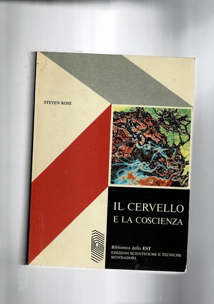 Il cervello e la coscienza.